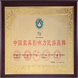 中国最具影响力民族品牌