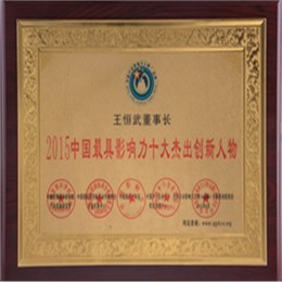 2015中国最具影响力十大杰出创新人物