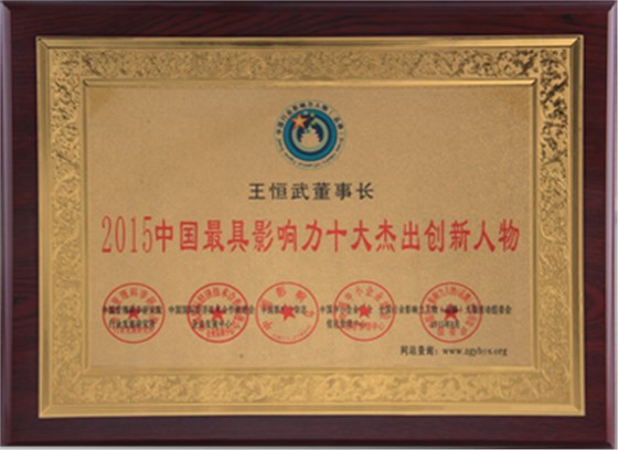 2015中国最具影响力十大杰出创新人物1