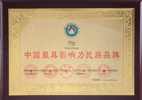 中国最具影响力民族品牌